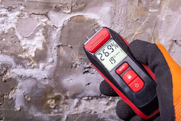 Best Home Mold Removal  in Honsville, GA