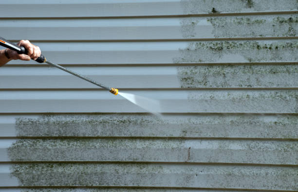 Best Office Mold Removal Services  in Honsville, GA